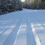 Groomed trails!