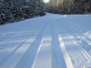 Groomed trails!